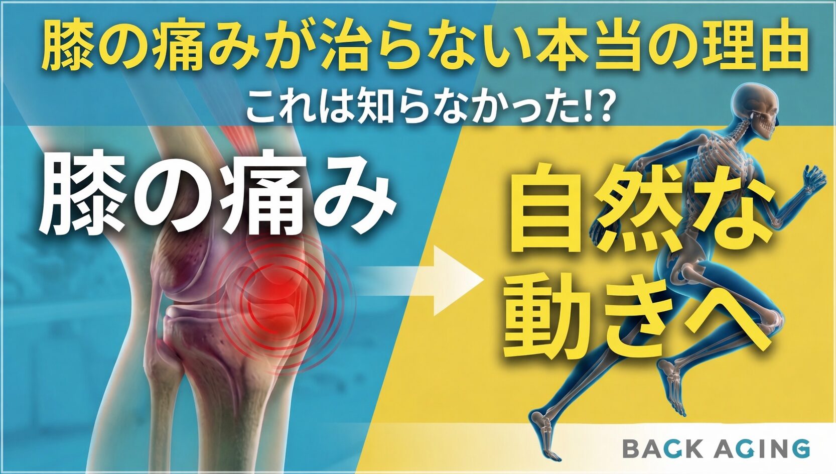 膝の痛みが治らない本当の理由