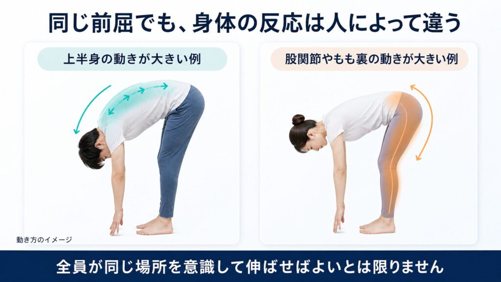 同じ前屈でも身体の反応が人によって異なる例