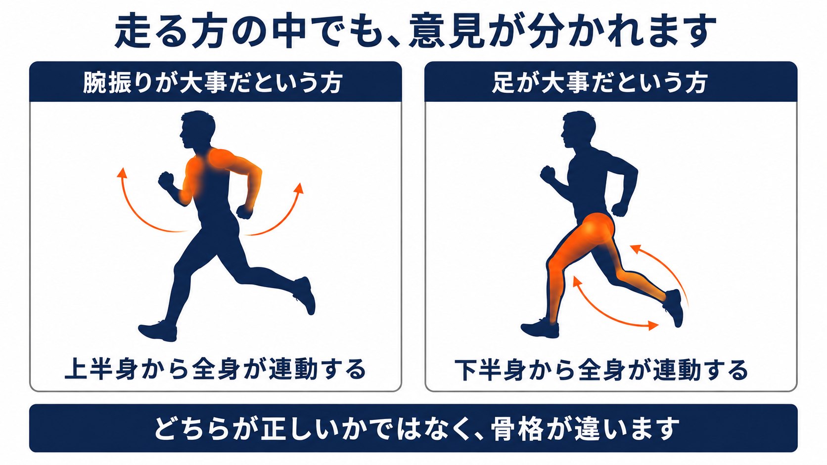 腕振りを大事だとする方と、足を大事だとする方で、全身が連動する起点が異なることを示す対比図